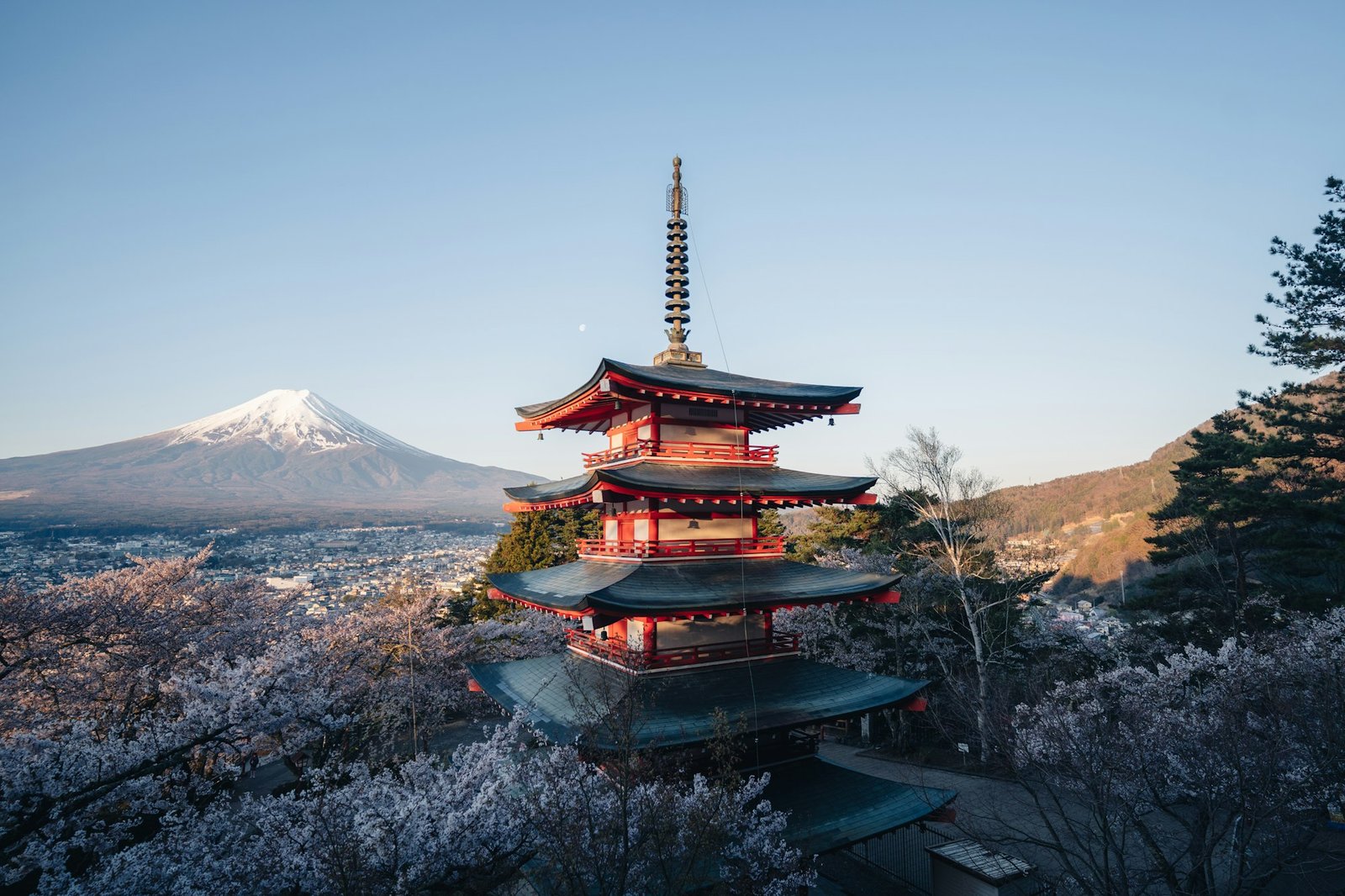 Chureito Pagoda among cherry blossom with snow-capped Mount Fuji behind